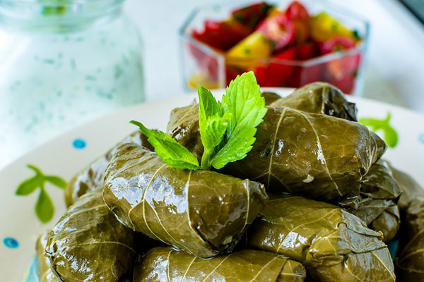 جشنواره دلمه ارمنستان ۲۰۲۶